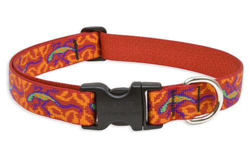 Lupine Originals Pattern Adjustable Dog Collar - Go Go Gecko