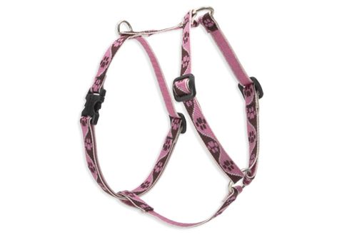 Lupine Originals Roman Style Adjustable Dog Harness - Tickled Pink