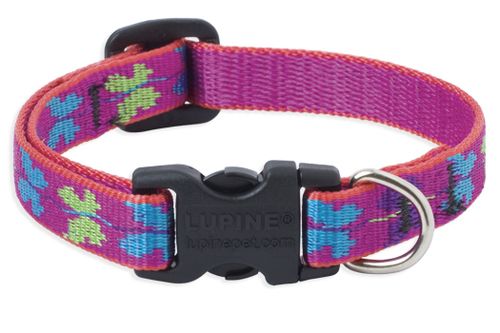 Lupine Originals Pattern Adjustable Dog Collar - Wing It