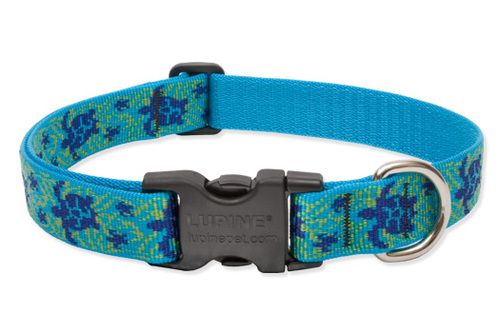 Lupine Originals Pattern Adjustable Dog Collar - Turtle Reef