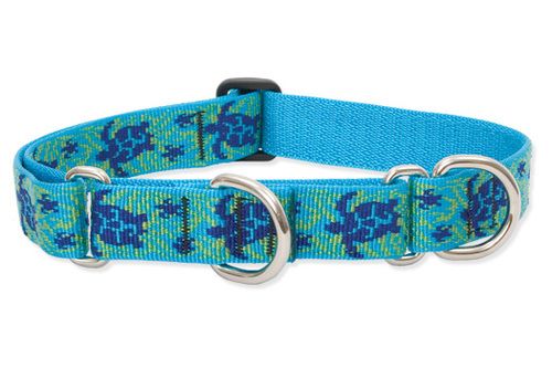Lupine Originals Martingale Combo Dog Collar - Turtle Reef