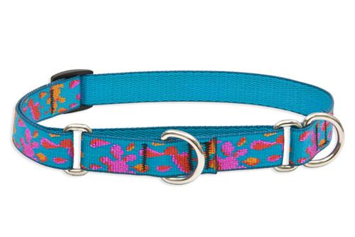 Lupine Originals Martingale Combo Dog Collar - Wet Paint!