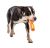 GURU Tennis Max Stick Medium Dog Toy