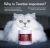 Fera Pets Cardiac Support Capsules For Dogs and Cats 