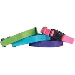 Guardian Gear Nylon Adjustable Dog Collars - Brite Colors