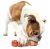 GURU Multi-Flavor Stick Medium Dog Toy
