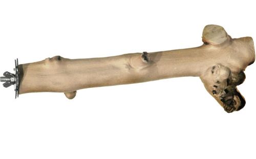 Prevue Hendryx Coffeea Wood Branch Bird Perch