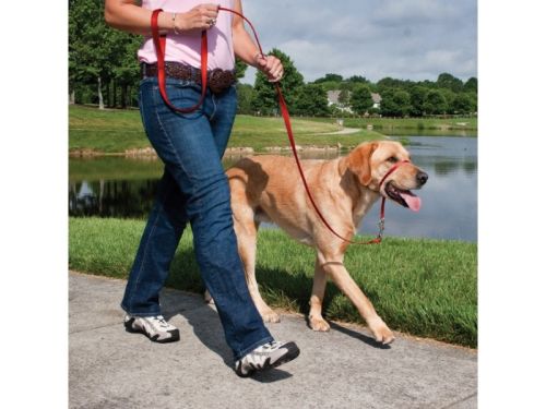 Gentle Leader Head Collars - Red