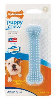 Nylabone Puppy Chew Dental Dog Toy