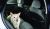 Outward Hound PupStop Front Seat Barrier - Black