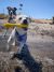 PROJECT HIVE Pet Company Hive Fetch Stick Dog Toy