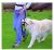 The Company Of Animals Clix Hands Free Belt