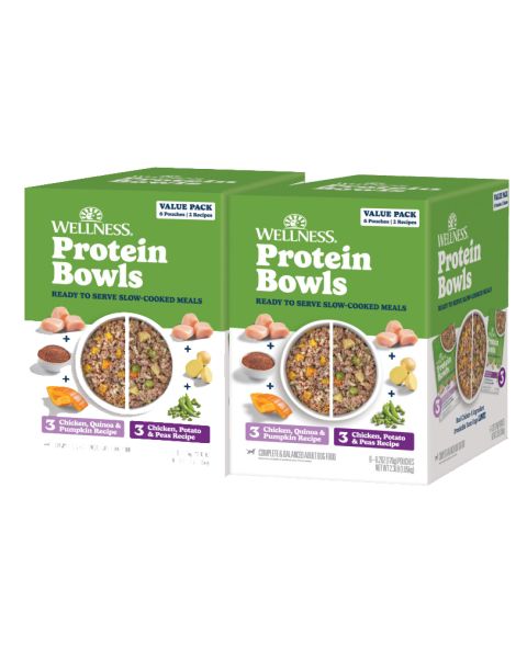 Wellness Protein Bowls Chicken Value Pack Dog Food Pouches - 12 x 6.2oz