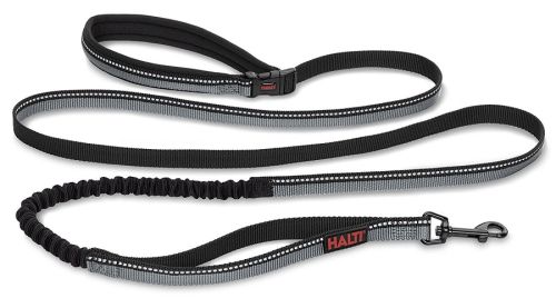 The Company Of Animals Halti All-In-One Leash