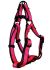 Hamilton Neon Series Adjustable Easy-On Step-In Style Dog Harness