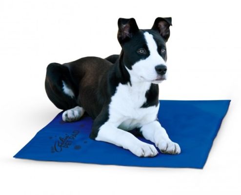 K & H Coolin' Pet Pad