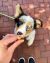 Whimzees Puppy Dental Dog Treats - 7.4oz