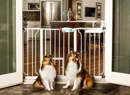 Carlson Pet Double Extra WIDE Walk-Thru Gate with Pet Door - 29" to 51" wide