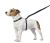Thundershirt ThunderLeash for Dogs