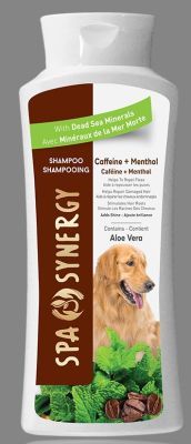 Spa Synergy Caffeine & Menthol Specialty Dog Shampoo