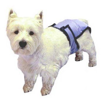 PoochPad Pooch Pants Reusable Female Dog Diapers