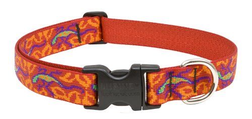 Lupine Originals Pattern Adjustable Cat Safety Collar - Go Go Gecko