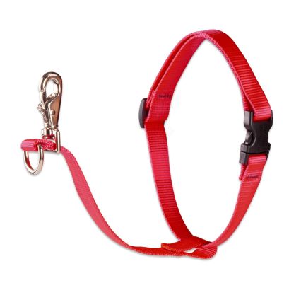 Lupine Basics No Pull Dog Harness - Red