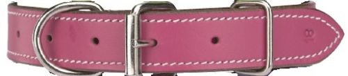 Casual Canine Flat Leather Collars in Fashion Colors