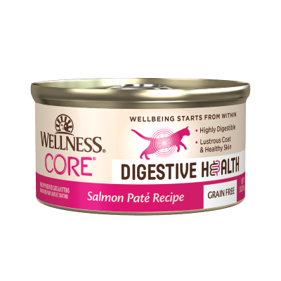 Wellness CORE Digestive Health Salmon Pate Canned Cat Food - 12 x 3oz 