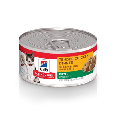Hill's Science Diet Kitten Tender Chicken Dinner Canned Cat Food - 24 x 5.5oz
