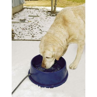 K & H Thermal Bowl
