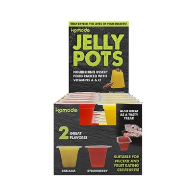 Komodo Jelly Pots Box (20ct)