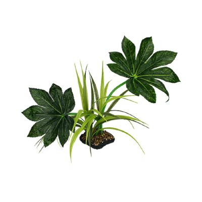 Komodo Jungle Canopy 10" Decorative Plant