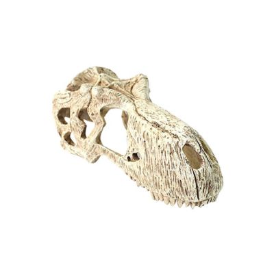 Komodo T-Rex Skull Habitat Decoration