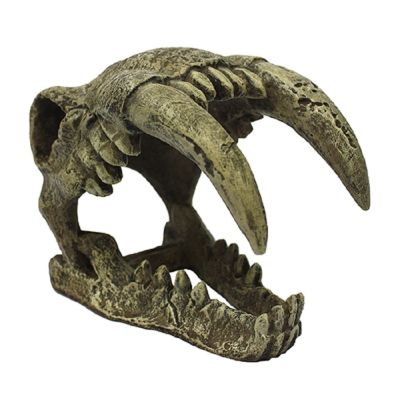 Komodo Saber Tooth Tiger Habitat Decoration