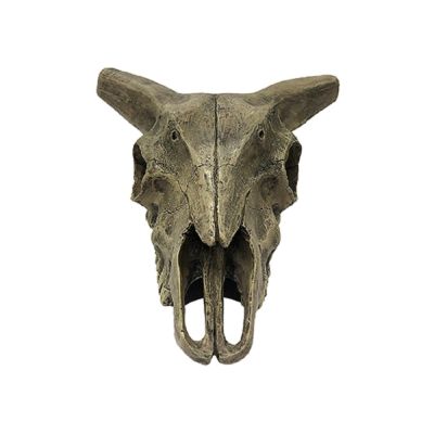 Komodo Deer Skull Habitat Decoration