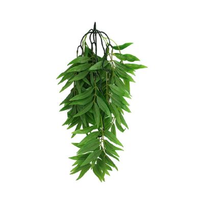 Komodo Bamboo Climbing Plant Small Plant Decoration