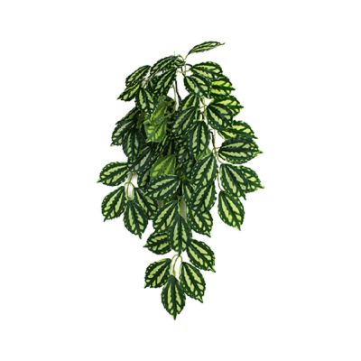 Komodo Two-Tone Leaf Climbing Plant Plant Decoration
