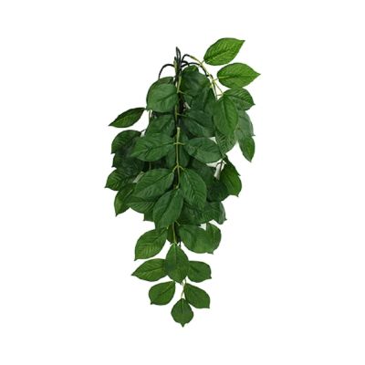 Komodo Green Leaf Climbing Plant Plant Decoration