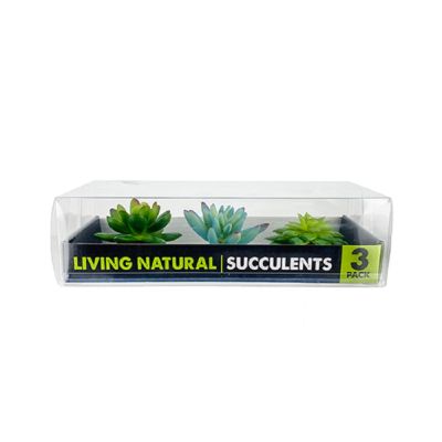 Komodo Succulents Blue/Green Plant Decorations (3pk)