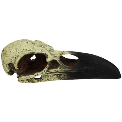Komodo Raven Skull Habitat Decoration