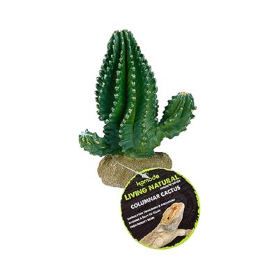 Komodo Columnar Cactus 5.9" Plant Decoration