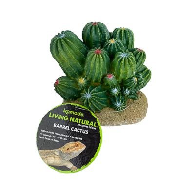 Komodo Barrel Cactus Plant Decoration