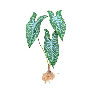 Komodo White Vein Standing Plant Decoration