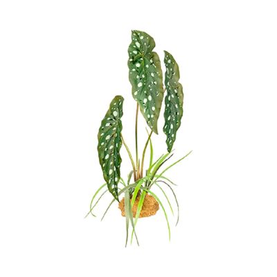 Komodo Spotted Begonia Standing Plant Decoration