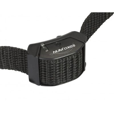 Eyenimal Bark Control Canicalm Small Anti-bark Collar For Small Dogs
