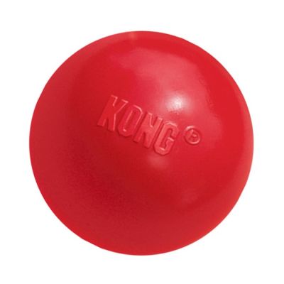 KONG Ball Dog Toy