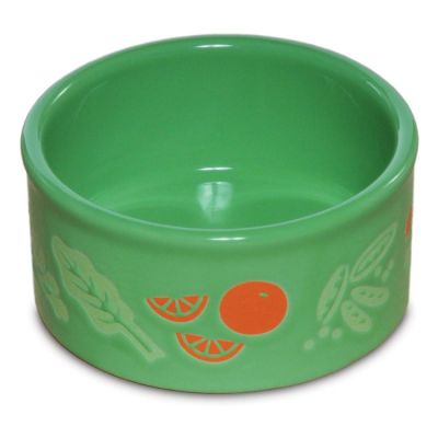 Prevue Hendryx Small Pet Ceramic Dish with Veggies Pattern - Assorted Colour