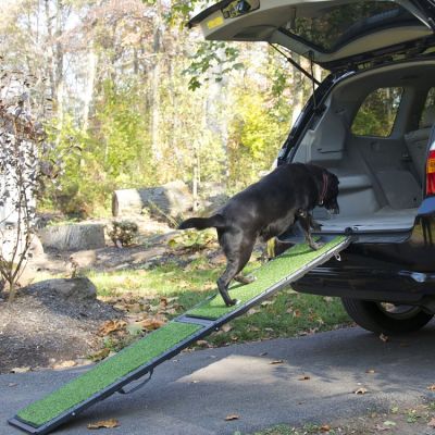 Gen7Pets Natural-Step 72" Pet Ramp