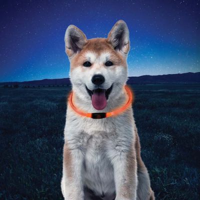 Nite Ize NiteHowl LED Safety Necklace